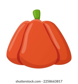 Pumpkin flat illustration. Drawing of healthy vegetable isolated on white background. Organic food, autumn or fall concept