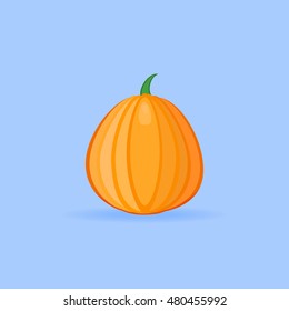 Pumpkin flat style icon. Vector illustration.