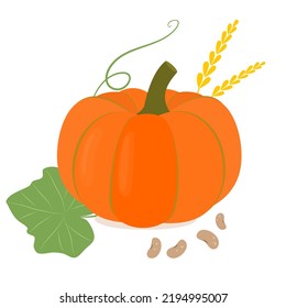 Pumpkin. Flat style. Vector illustration 