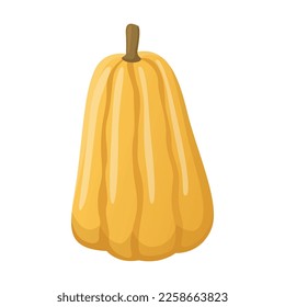 Ilustración vectorial plana de calabaza. Dibujo de dibujos animados de verduras sanas aisladas en fondo blanco. Comida orgánica, concepto de otoño o otoño