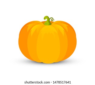 Pumpkin flat vector illustration. Ripe gourd, autumn harvest vegetable isolated on white background. Orange pumpkin with green stem, organic farming produce. Autumn seasonal crop design element