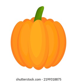 Hortalizas planas de calabaza. Calabaza de cosecha de Halloween. Vector aislado en blanco.