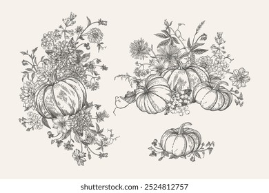 Pumpkin and flower set. Floral arrangements. Engraving style. Black and white.