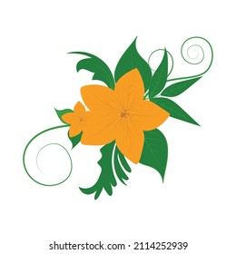 Pumpkin flowers with white background