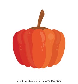 pumpkin food healthy image