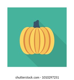 pumpkin food vegetable 
