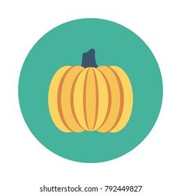 pumpkin food vegetable 
