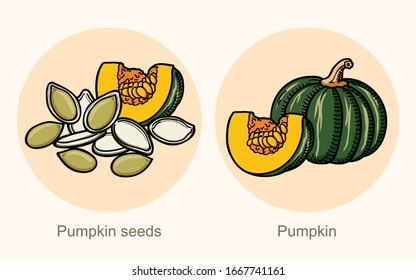 Pumpkin is a food vegetable and has many nutritional values, Collection set for use illustration vector and simple design.