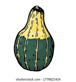 Pumpkin in the form of a pear with stripes. Vector color illustration of a hand-drawn drawing with a black outline on a white background.