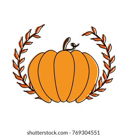 pumpkin fresh with crown