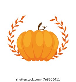 pumpkin fresh with crown