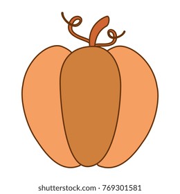 pumpkin fresh isolated icon