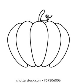 pumpkin fresh isolated icon