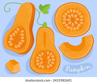 Calabaza. Verduras frescas. Ingrediente para cocinar. Mitad, pedazo y semillas de calabaza naranja. Verduras de otoño. 