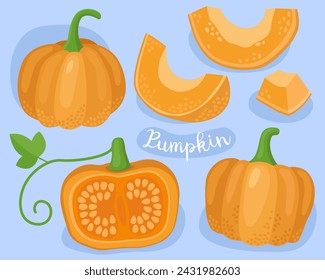 Pumpkin. Fresh vegetable. Ingredient for cooking. Half,  piece and seeds of orange pumpkin. Autumn vegetables. 