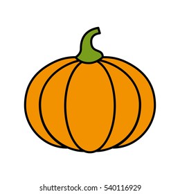 pumpkin fresh vegetable isolated icon vector illustration design