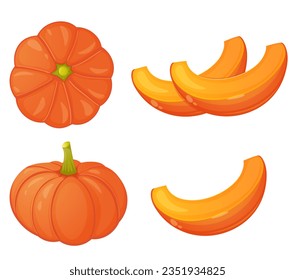 Pumpkin front view, from above and slices