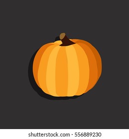 Pumpkin Fruit. Flat style