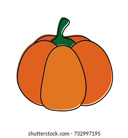 pumpkin fruit icon image 