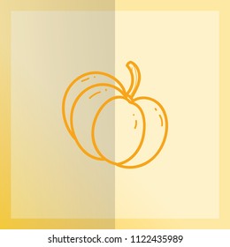 Pumpkin, Fruit Icon with line style in vector illustration.