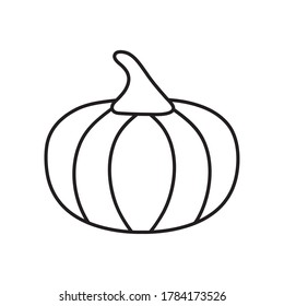 pumpkin fruit icon over white background, line style, vector illustration