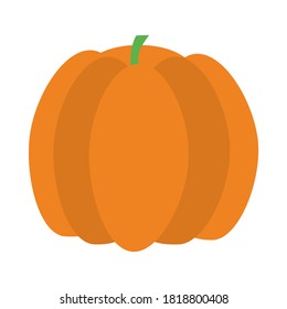 pumpkin fruit icon over white background, flat style, vector illustration