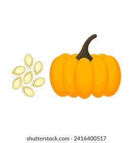 Pumpkin fruit and seeds isolated on white background. Whole pumpkin seeds. Healthy vegetarian food. Vector illustration