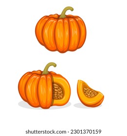 Pumpkin fruit symbol collection set cartoon illustration vector