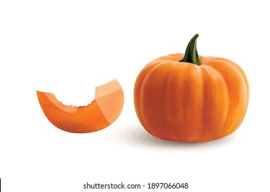 Pumpkin full and slice vector illustration isolated on white background