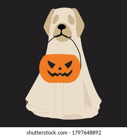 Pumpkin Ghost  dog Halloween vector design.