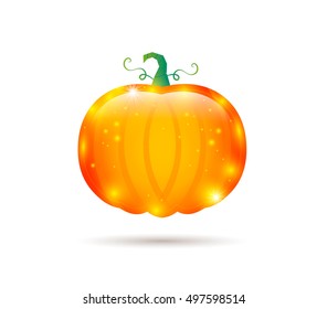 Pumpkin glossy label on white background. Vector illustration