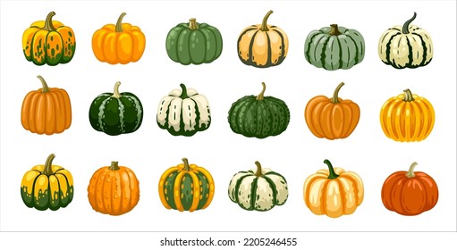 Pumpkin, gourd, squash hand drawn elements. Autumn, fall, thanksgiving and halloween decoration. Cartoon vector illustration set.