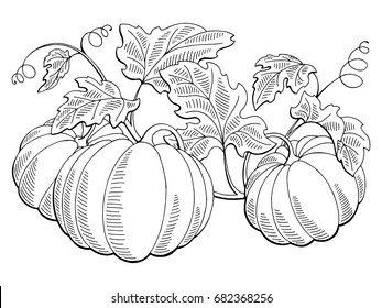 Pumpkin Line Drawing Images, Stock Photos & Vectors | Shutterstock