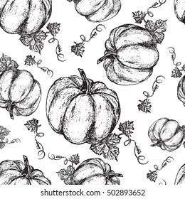 Pumpkin graphic ink vector illustration isolated on white backdrop, hand drawn engraved vintage sketch, seamless pattern for restaurant menu, symbol autumn holiday, wallpaper, textile, package design