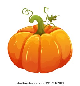 Pumpkin with green leaf isolated on white background. Ripe orange pumpkin, healthy diet vegetable. Autumn harvest festival, thanksgiving day. Traditional decoration for Halloween. Vector illustration