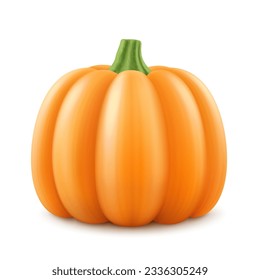 Pumpkin with green stem isolated on white background. Decorative art element for Thanksgiving, Halloween celebration layout design. Bright orange fruit. Autumn harvest festival. Realistic 3d vector