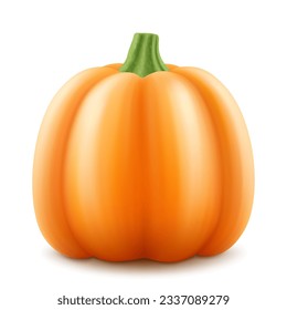 Pumpkin with green stem isolated on white background. Decorative art element for Thanksgiving, Halloween celebration layout design. Bright orange fruit. Autumn harvest festival. Realistic 3d vector