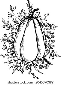 Pumpkin and greenery outline, butternut squash boho silhouette, floral pumpkin vector, autumn clip art