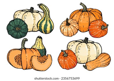 Pumpkin groups set  Pumpkins various shapes  colors   characters  hand  drawn  Sketch  Vector illustrated clipart 