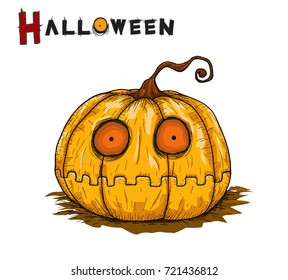 pumpkin halloween background from vector