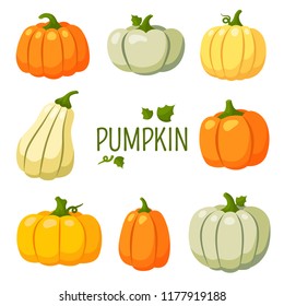 Pumpkin, Halloween, gourd, squash, harvest, colored, autumn, farm, set, items, crop, gather, garden stuff, vegetable, ripe, green stuff, fruitage, productivity of land, crop capacity, yield capacity, 