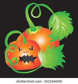 Pumpkin for Halloween. Hand drawn sketch. Clear outline.
