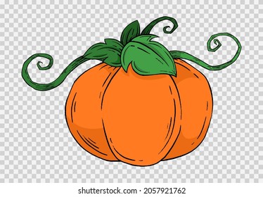 Pumpkin hand draw with brush style isolated on png or transparent texture,Halloween party background ,element template for poster,brochures, online advertising,vector illustration 