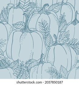 Pumpkin hand draw monochrome seamless pattern. Thanksgiving pumpkin seamless pattern. Decorative vintage kitchen fashion textile. Hand drawn Halloween pumpkin texture.