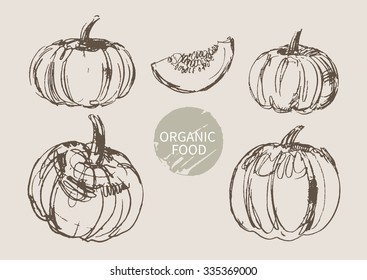 pumpkin  hand draw sketch, vector