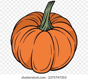 Pumpkin hand drawing brush style isolated on transparent PNG. Perfect for halloween and Thanksgiving backgrounds.Vector Illustration