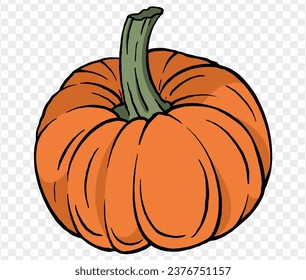 Pumpkin hand drawing brush style isolated on transparent PNG. Perfect for halloween and Thanksgiving backgrounds.Vector Illustration