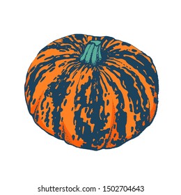 pumpkin hand drawing color, vector illustration, isolated, orange