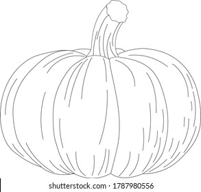 Pumpkin. Hand drawing coloring book for children and adults. Autumn still life, coloring. Isolate on white. For textiles, paper, poster, postcards.