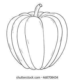 Pumpkin. Hand Drawing Sketch, Contour Outline. Vector Illustration